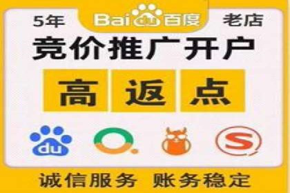 专业SEM服务托管方案案例分析